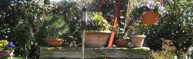 Header Image Sven Magnussen