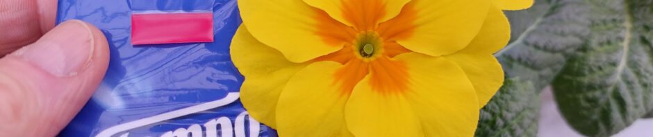 Header Image Sven Magnussen