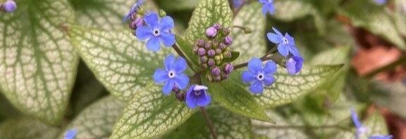 Header Image Sven Magnussen