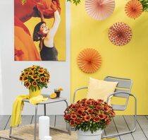 Header Image Sven Magnussen