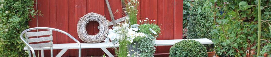 Header Image Sven Magnussen