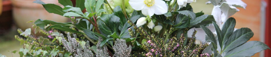 Header Image Sven Magnussen